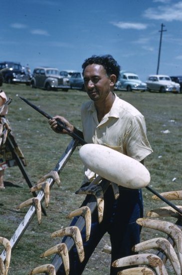 Souvenir seller at La Perouse, 1960 - Courtesy of National Library of Australia  